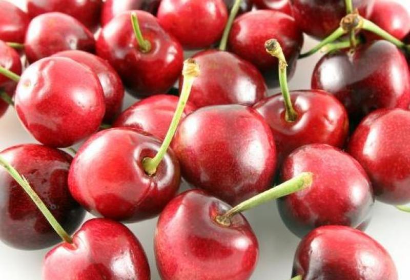 CHILE LANZA MARCA SECTORIAL PARA POSICIONAMIENTO DE SUS FRUTAS