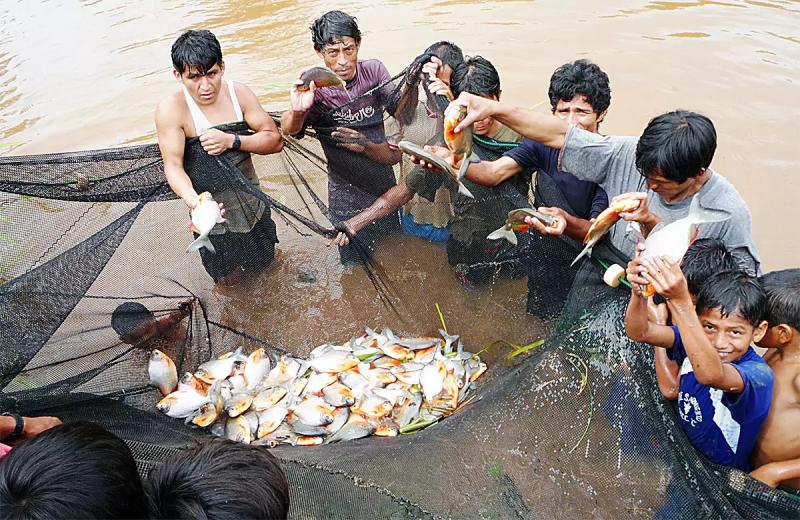 China desplazó a Perú y ahora lidera la producción de peces amazónicos