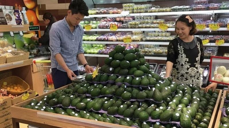 China e India son la próxima frontera para la palta en Asia