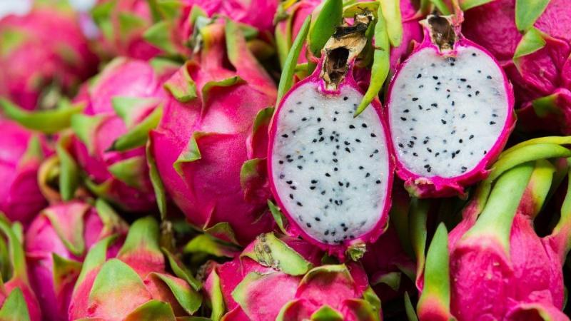 China está comprando menos pitahaya este año