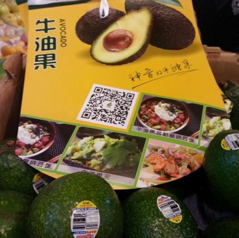 China importó menos palta de México y Chile durante enero-septiembre de 2020