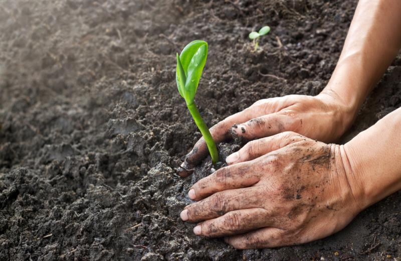 Cinco claves para optimizar los suelos agrícolas del Perú