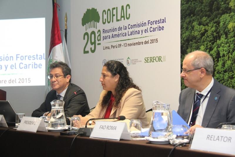 CLAUSURAN 29ª REUNIÓN DE LA COMISIÓN FORESTAL PARA AMÉRICA LATINA Y EL CARIBE