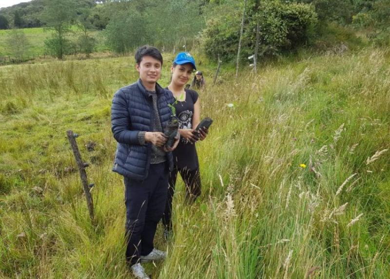 Colombia: proponen que sea requisito plantar un árbol para graduarse del colegio y la universidad