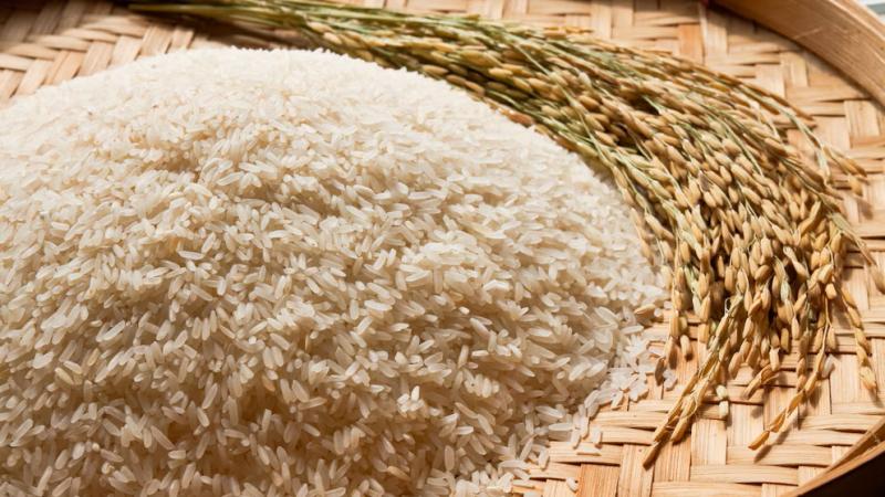 Colombia se quedaría sin arroz de producción nacional en 2025