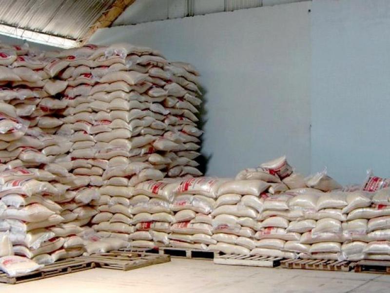 COLOMBIA Y VENEZUELA SERÍAN DESTINOS DE ARROZ NACIONAL