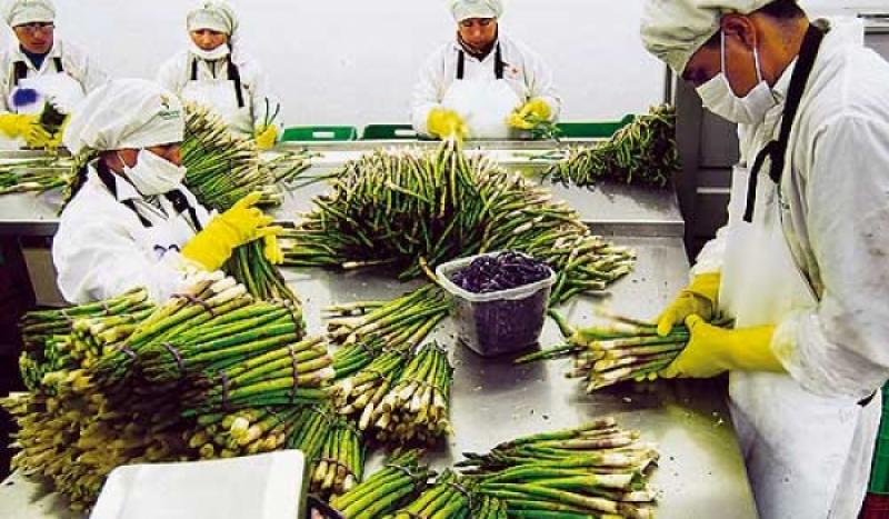 COMEX: “DISPAROS AL SECTOR AGROEXPORTADOR”