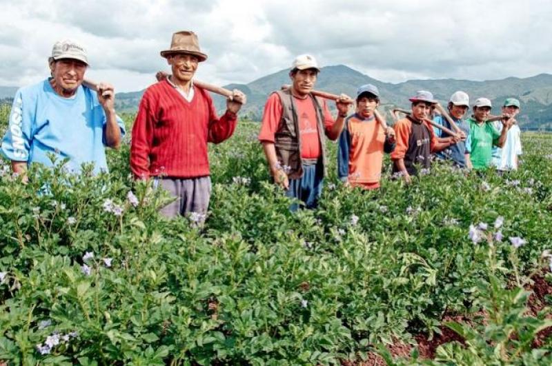 Comienza Qallariy Aceleradora, programa que financiará hasta con 20 000 dólares a pymes de la agroindustria