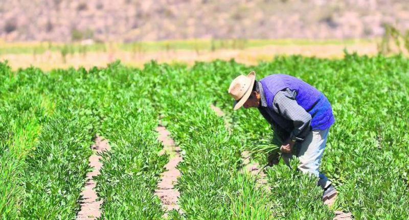 Comisión Agraria priorizará la titulación de tierras agrícolas y el impulso de la asociatividad y el cooperativismo