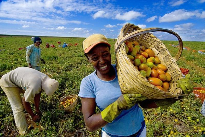 COMISIÓN AGRARIA: SEIS TEMAS EN AGENDA