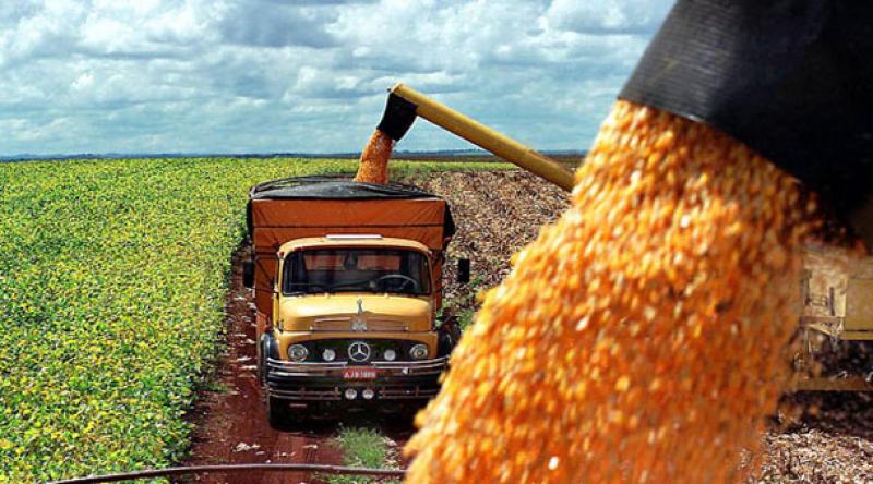 COMMODITIES AGRÍCOLAS MUNDIALES A LA EXPECTATIVA DEL CLIMA