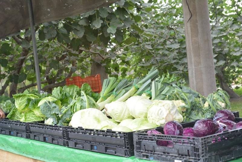 Con más agricultura urbana en la ciudad habría menos escasez y especulación