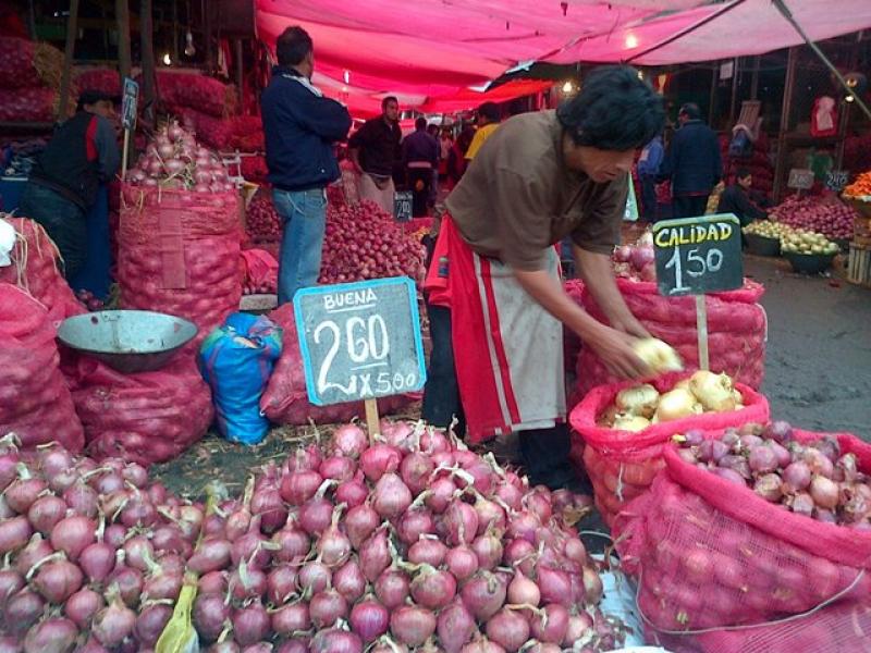 CONCIENTIZAN A AGRICULTORES DE MAJES QUE OPTEN POR PRODUCTOS RENTABLES