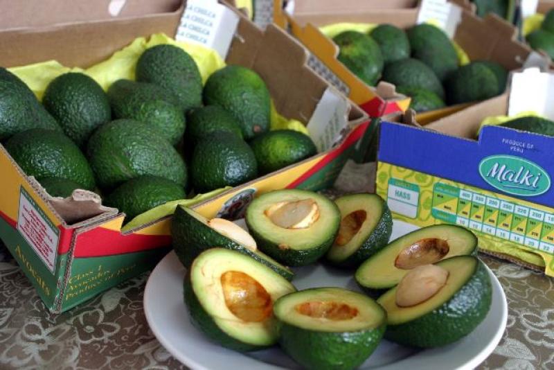 CONSUMO PER CÁPITA DE PALTA EN PERÚ ES EL DOBLE QUE EN ESTADOS UNIDOS