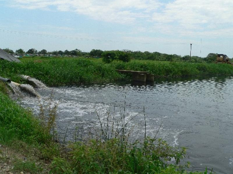 CONTAMINACIÓN DEL RÍO ICA AMENAZA CALIDAD DE PRODUCCIÓN AGRÍCOLA