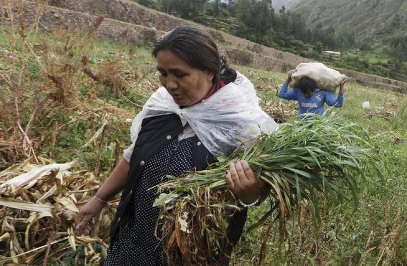 Conveagro: Ejecutivo y Legislativo no reaccionan con responsabilidad frente a crisis alimentaria