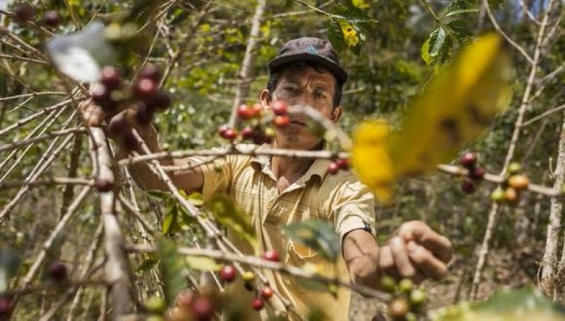 Conveagro: “Es trascendental que el Estado gestione de manera prioritaria el saneamiento de las tierras de los productores y comunidades nativas”