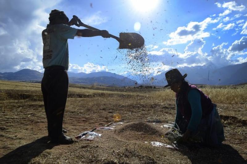 Conveagro: Gobierno tiene que informar cómo ejecutará presupuesto de programas agrarios y a qué instituciones alcanza