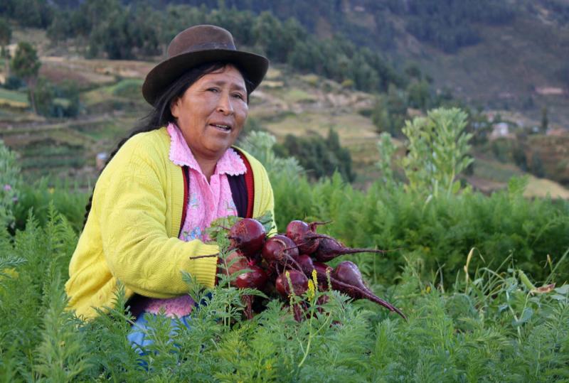 Conveagro: más de 660 mil pequeños agricultores al borde de la quiebra