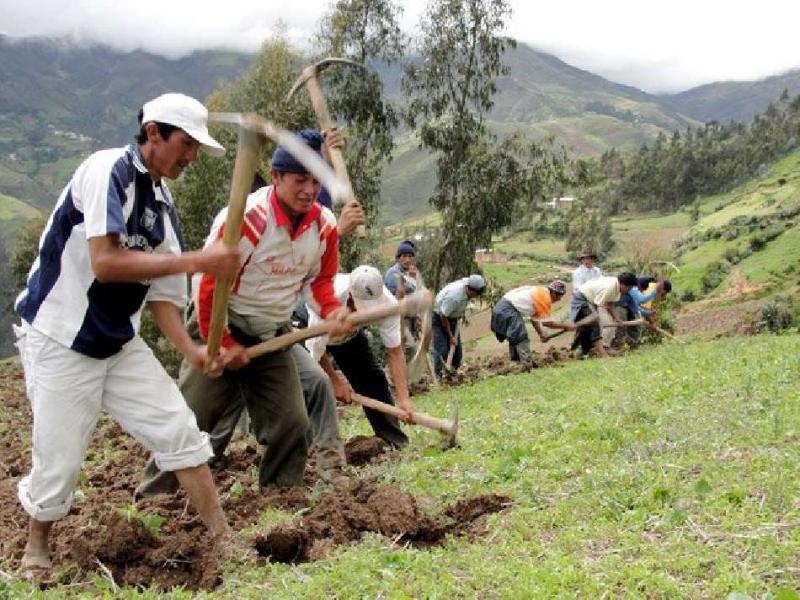 Conveagro plantea ocho medidas urgentes al Gobierno para reactivar la actividad agraria