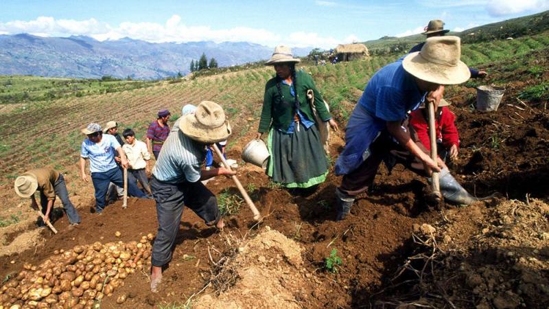 Cooperativas agrarias demandan pronta reglamentación de ley que las promueve