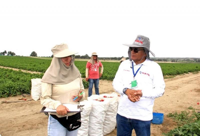 Coronavirus: 29 agroindustrias de La Libertad aún no acreditan su sistema de prevención