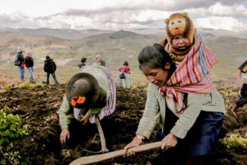 Coronavirus agudiza brechas de género y pone en riesgo la seguridad alimentaria y sanitaria de las agricultoras