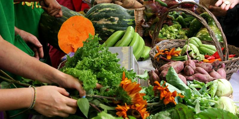 Crearán plataforma web con información de mercados agrícolas de las Américas