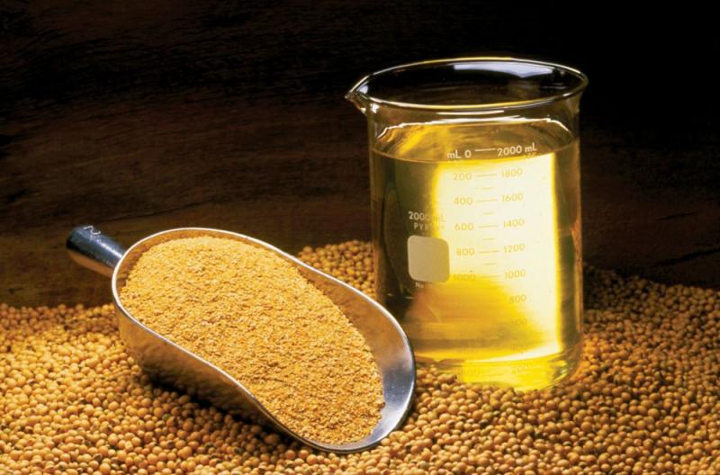 Crecen en valor importaciones de aceite de soya refinado y suman US$ 82 millones a octubre