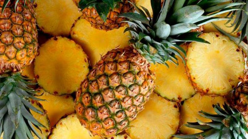 Crecen exportaciones de piña en fresco y suman US$ 2 millones en primer semestre de 2022