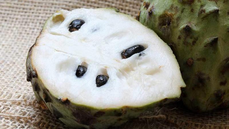 Crecen las exportaciones de guanábana peruana y ya llegan a 11 países