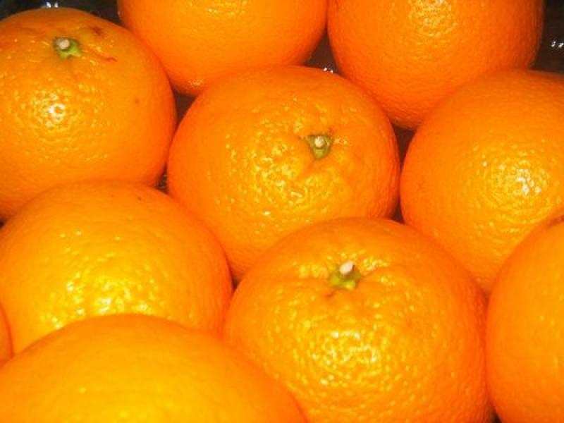 CRECERÍA INGRESOS DE NARANJA AL MERCADO MAYORISTA