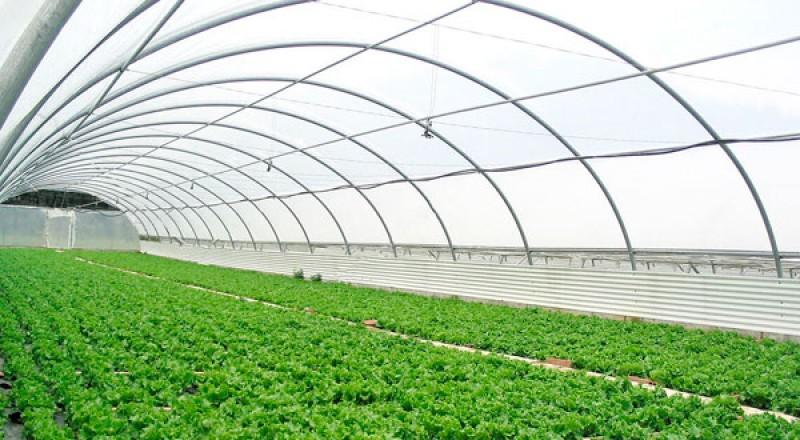 “Cuando la sierra esté llena de invernaderos con ayuda de la minería formal, la gente rechazará la minería ilegal”