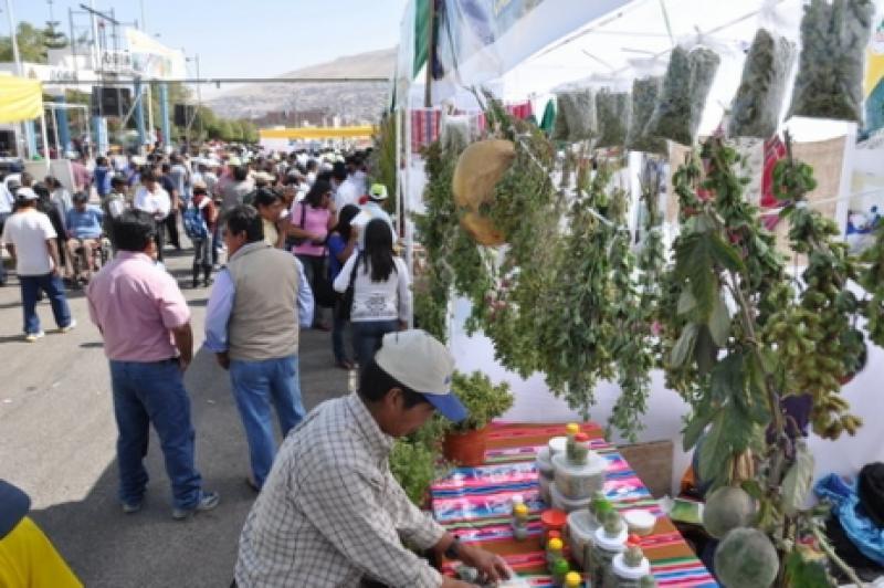 CULMINÓ CON EXITO XI FESTIVAL REGIONAL DEL ORÉGANO DE TACNA