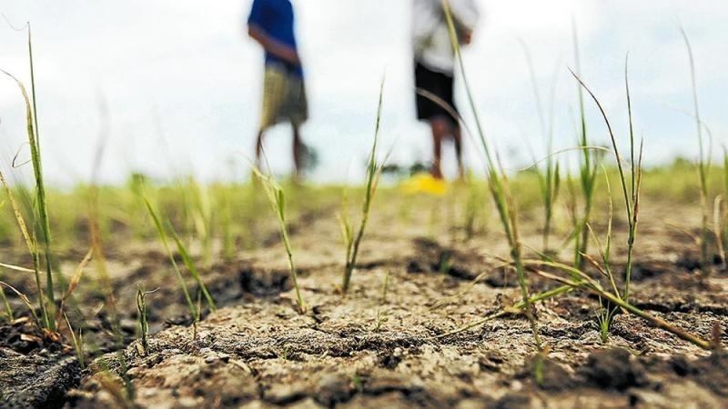Cultivida recomienda estar en alerta ante posible intensificación del Niño Costero