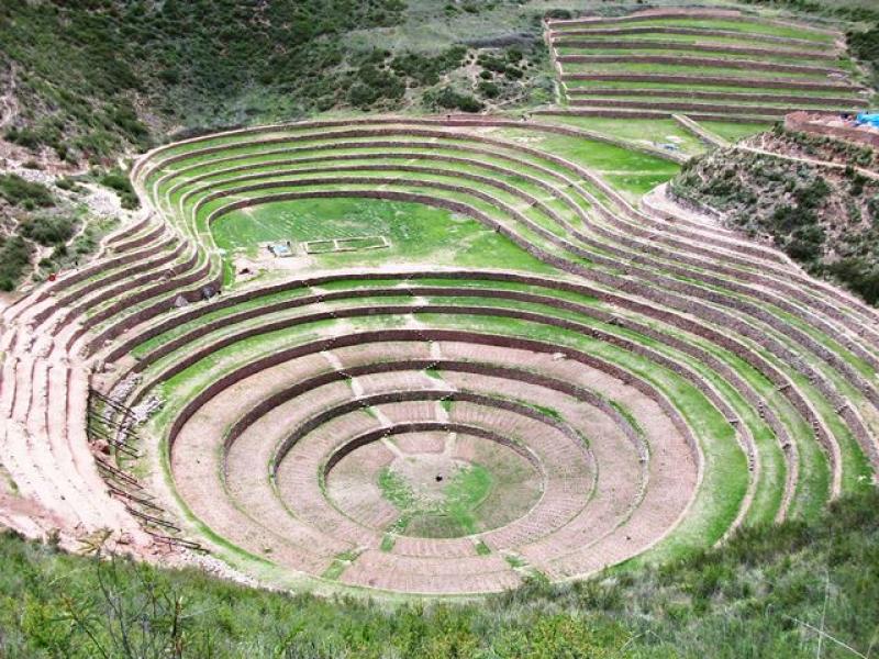 CUSCO: COSECHAN PAPAS NATIVAS EN ANDENES INCAS DE MORAY