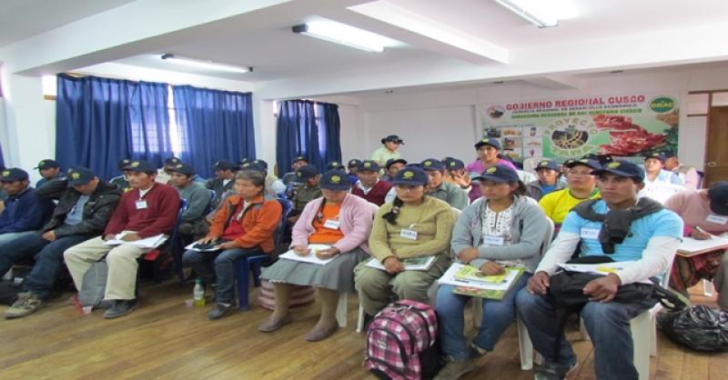 CUSCO: INICIAN JORNADAS DE CAPACITACIÓN DEL PROYECTO DE INSTALACIÓN DE TARA