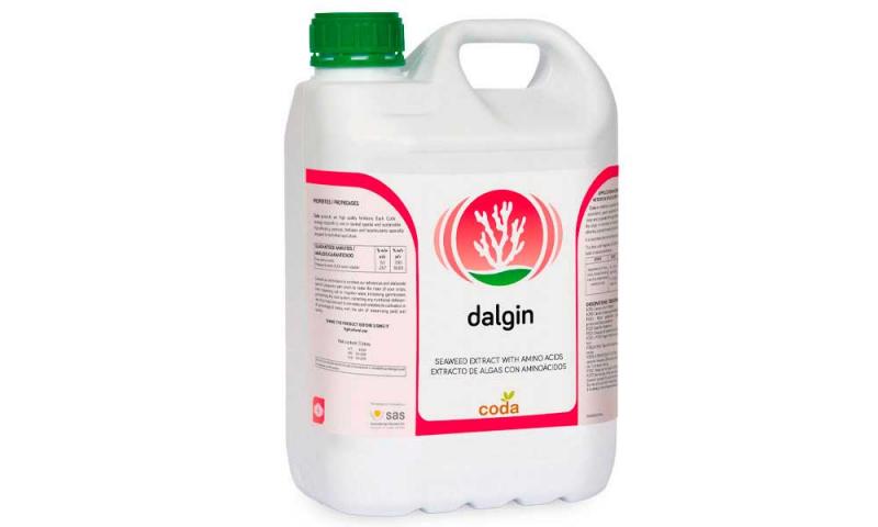 Dalgin (algas marinas + aminoácidos) estimula el crecimiento de plantas de vid