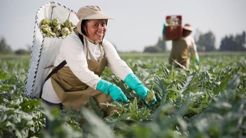 Danper se convierte en una empresa de Residuo Cero