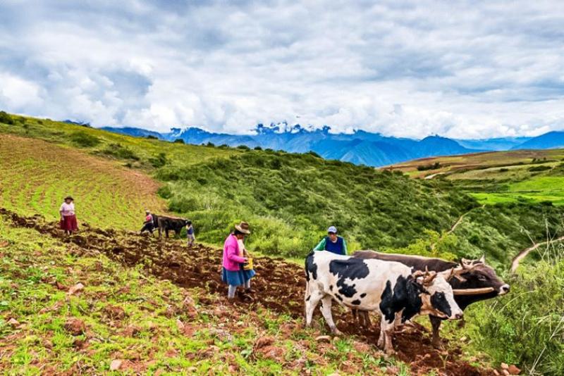 Declaratoria de emergencia fortalecerá la segunda reforma agraria