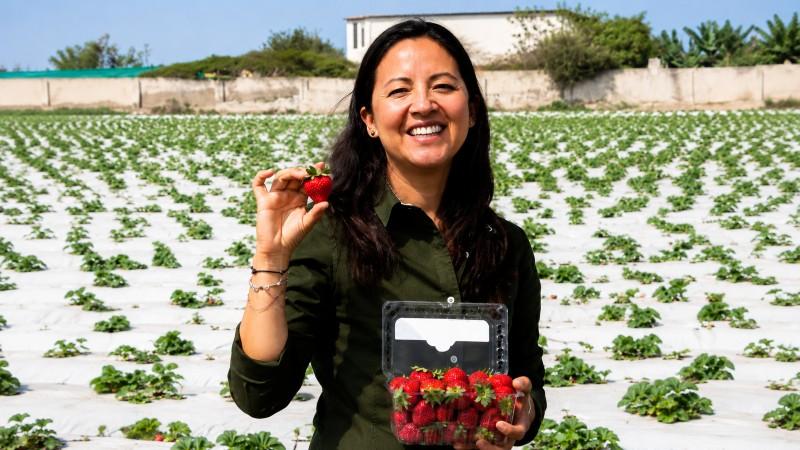 Demanda global de fresa congelada crecería alrededor de un 6% anual
