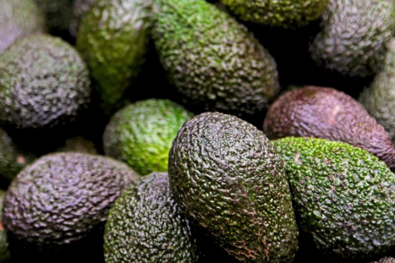 Desafíos de la industria de la palta en el hemisferio sur