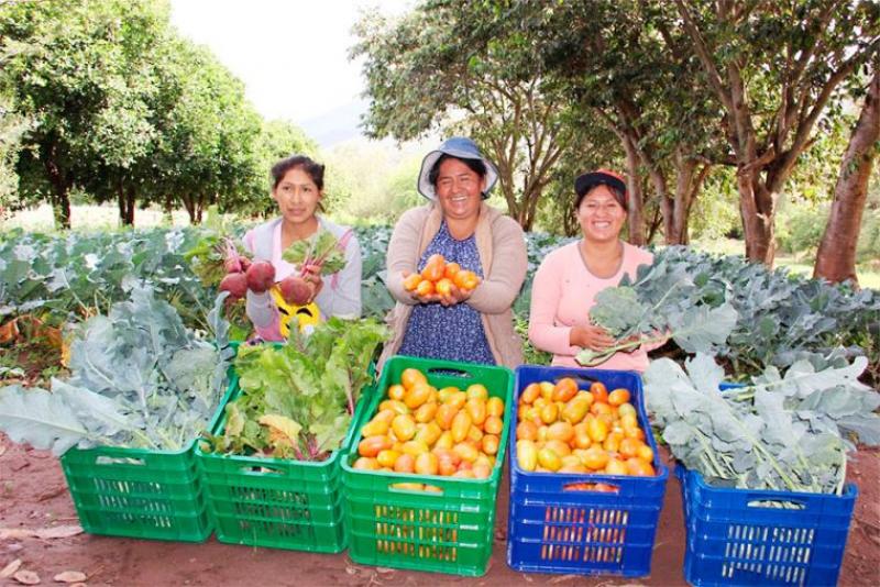 Desarrollarán programas para el emprendimiento de la mujer rural