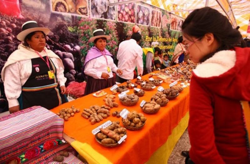 DESDE ESTE SÁBADO FERIA AGROPECUARIA MISTURA SE REALIZARÁ EN LOS OLIVOS