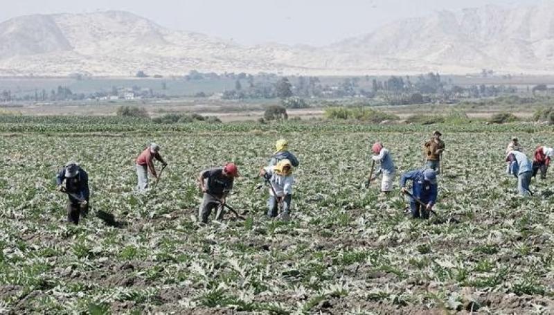 Designan a José Alberto Sáenz Vértiz como titular de la Dirección General de Desarrollo Agrícola y Agroecología del Midagri