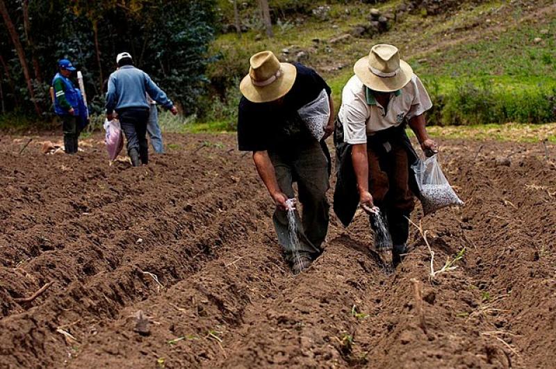 DESIGNAN NUEVO DIRECTOR GENERAL DE LA DIRECCIÓN DE COMPETITIVIDAD AGRARIA