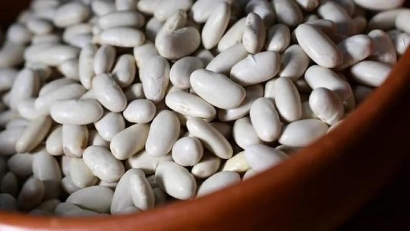 Despachos de pallares sumaron US$ 5.5 millones hasta mayo