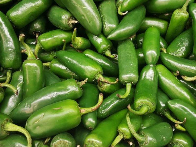 Despachos peruanos de ají jalapeño se contrajeron -11% en volumen en julio