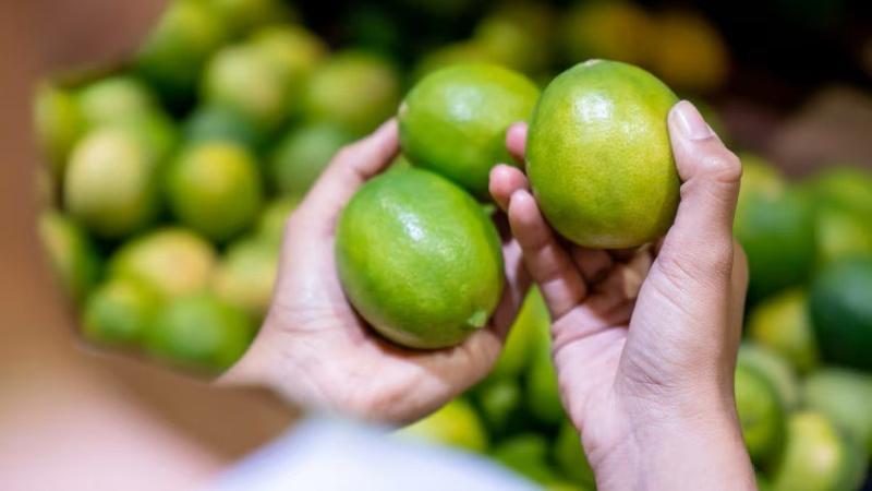 Despachos peruanos de limón Eureka alcanzan los US$ 15.6 millones hasta julio