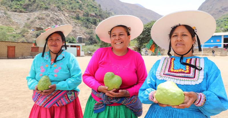 Destinan más de S/ 14 millones para la subvención de planes de negocio de mujeres rurales e indígenas organizadas